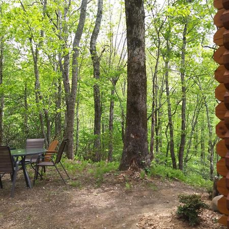 Two Rivers Cabins - The Mountaintop Brevard Exterior foto