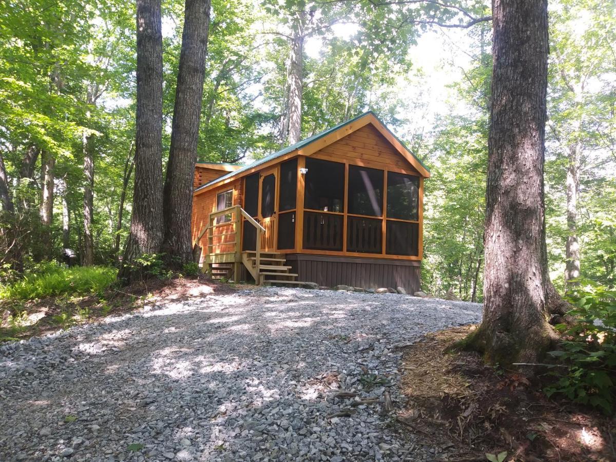 Two Rivers Cabins - The Mountaintop Brevard Exterior foto