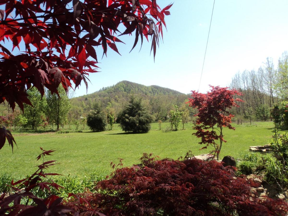 Two Rivers Cabins - The Mountaintop Brevard Exterior foto